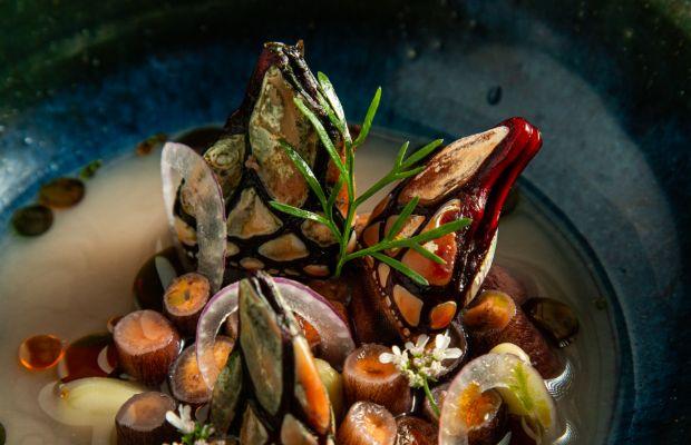 Astrid y Gaston-Dish-1